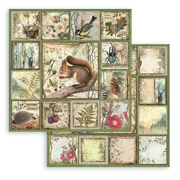 Set Papeles Scrap Forest 12x12 Stamperia (1)