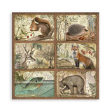 Set 22 Papeles Scrap Forest 30,5x30,5 Una Cara Stamperia (5)