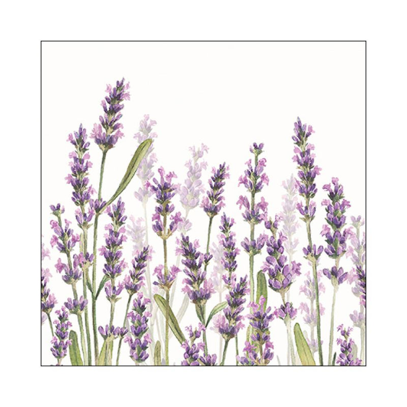 Pack 20 Servilletas 33x33cm Lavanda Ambiente Europe