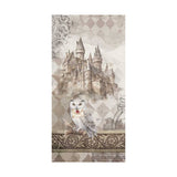 Set 10 Papeles Scrap 15x30 Wizarding Adventure II (2)