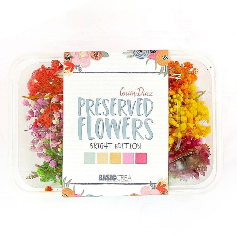 Set Flores Preservadas The Seasonal Flowers Bright Edition