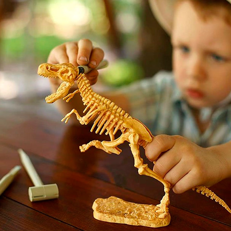 Kit Excavaciones Fósiles T-Rex Science4you (2)