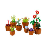 LEGO Icons Plantas Diminutas (1)