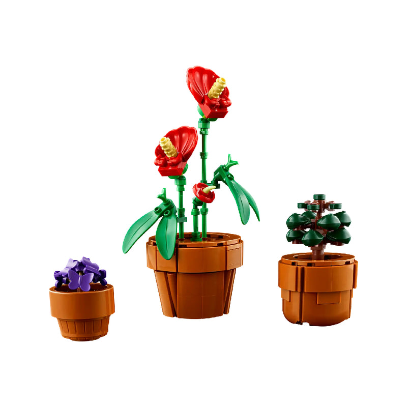 LEGO Icons Plantas Diminutas (3)