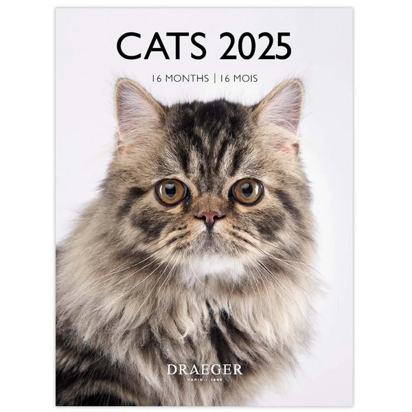 Calendario Pequeño 2025 Gatos Draeger