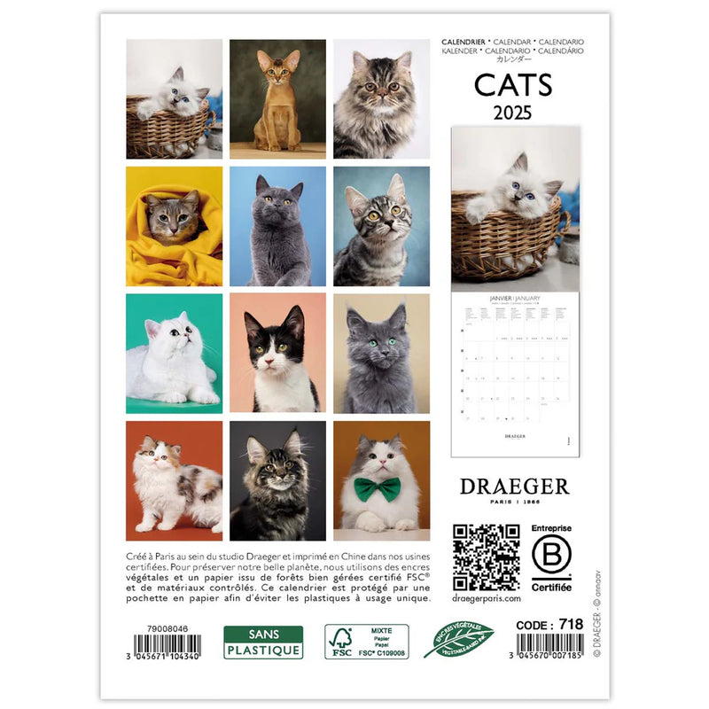 Calendario Pequeño 2025 Gatos Draeger (2)