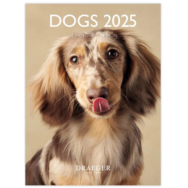 Calendario Pequeño 2025 Perros Draeger