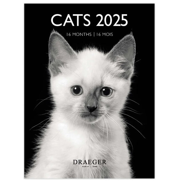 Calendario Pequeño 2025 Gatos Blanco y Negro Draeger