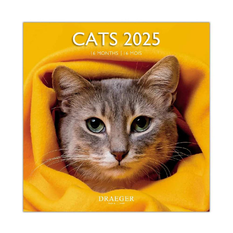 Calendario Grande 2025 Gatos Draeger