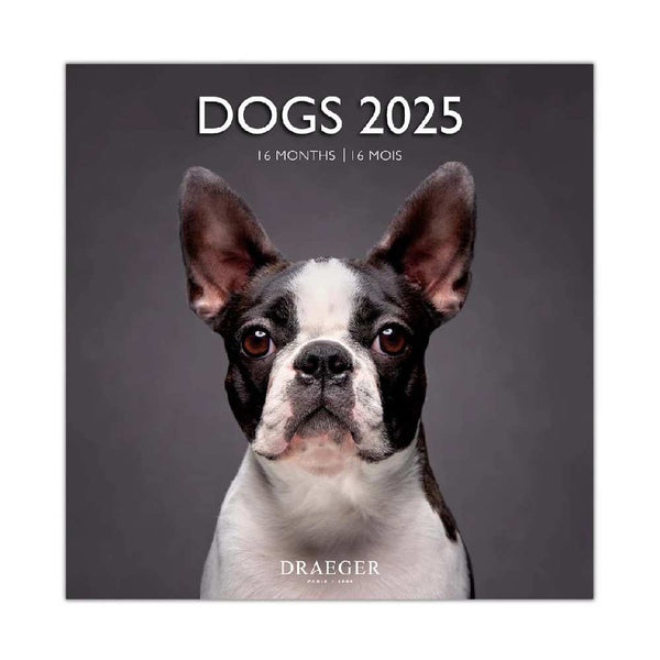 Calendario Grande 2025 Perros Draeger