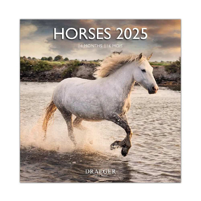 Calendario Grande 2025 Caballos Draeger