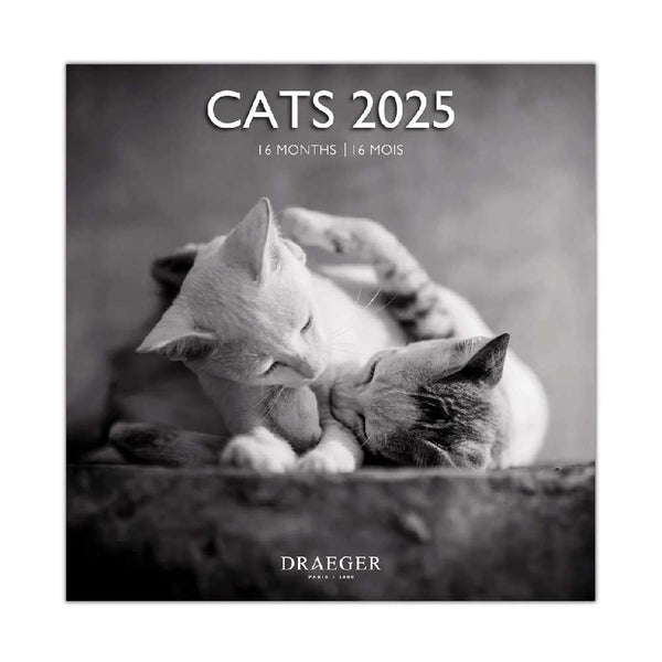 Calendario Grande 2025 Gatos Blanco y Negro Draeger
