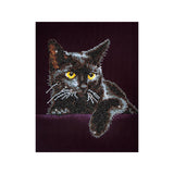 Kit Diamond Painting Midnight Cat Diamond Dotz