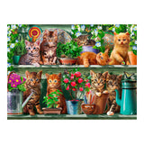 Puzzle 500 Piezas Gatos en la Estantería Ravensburger (1)