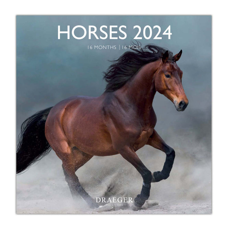 Calendario Grande 2024 Caballos Draeger