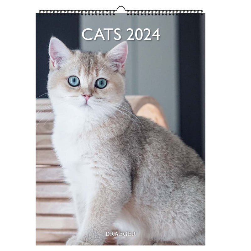 Calendario Vertical 2024 Gatos Draeger