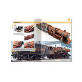 Libro Guía para la Corrosión y la Oxidación Ammo (1)