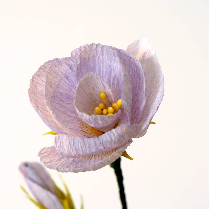 Cinta de Florista para Tallos y Flores Preservadas (3)